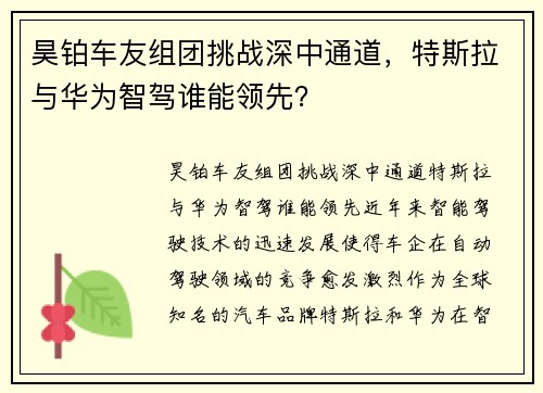 昊铂车友组团挑战深中通道，特斯拉与华为智驾谁能领先？