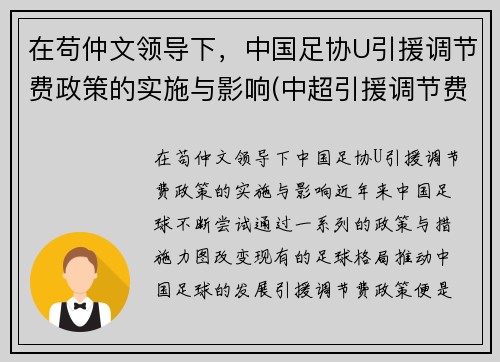 在苟仲文领导下，中国足协U引援调节费政策的实施与影响(中超引援调节费怎么算)
