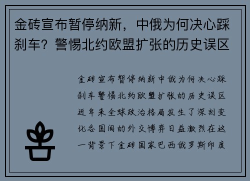 金砖宣布暂停纳新，中俄为何决心踩刹车？警惕北约欧盟扩张的历史误区